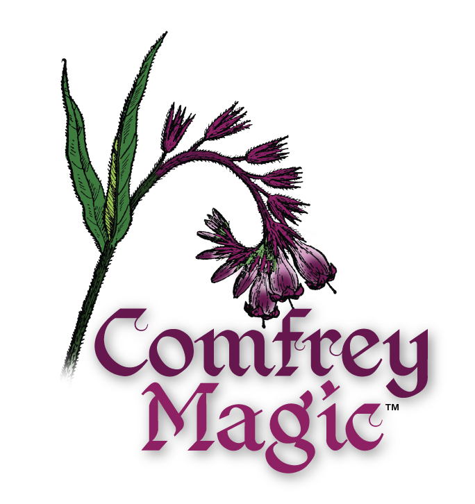 Comfrey Magic